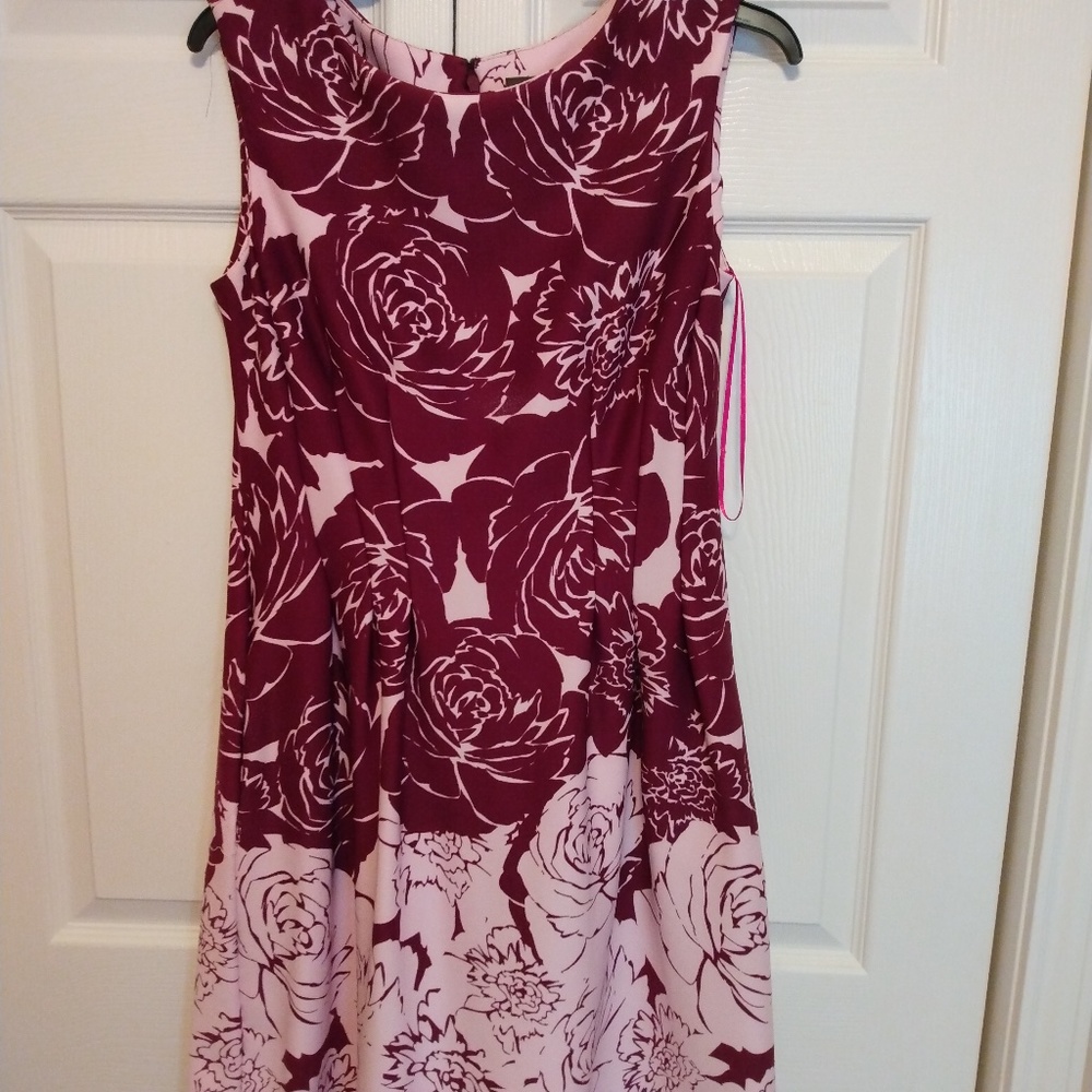 Light pink and maroon Dress. Size 10